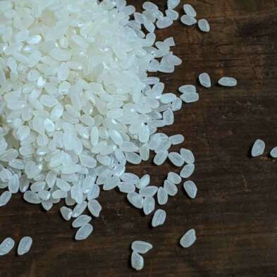 riz de variété niponica cultivé en Italie et vendu par azukiya à Colmar